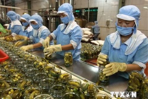 Xuất khẩu nông sản: Vượt rào cản kỹ thuật nhờ số hóa và công nghệ