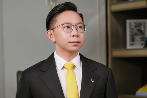 Chân dung tân Chủ tịch VinFast vừa thế chỗ bà Lê Thị Thu Thủy