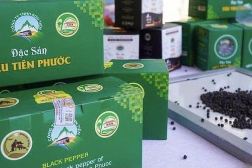 Đà Nẵng công bố Chỉ dẫn địa lý 'Tiên Phước' cho sản phẩm hạt tiêu