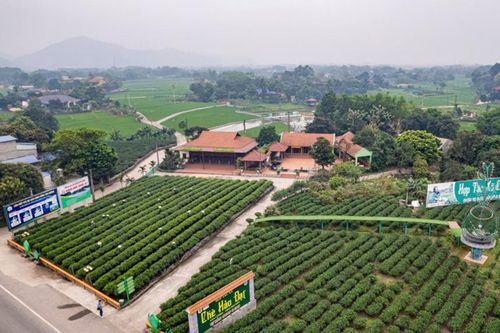 Doanh nghiệp Hải Phòng và Thái Nguyên kết nối giao thương đa ngành, mở rộng thị trường