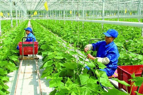 Điều kiện để doanh nghiệp được hỗ trợ kinh doanh bền vững