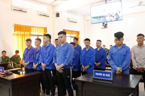 Cái giá của bạo lực