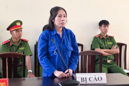 Lừa góp vốn kinh doanh đường, nữ bị cáo lãnh 13 năm tù