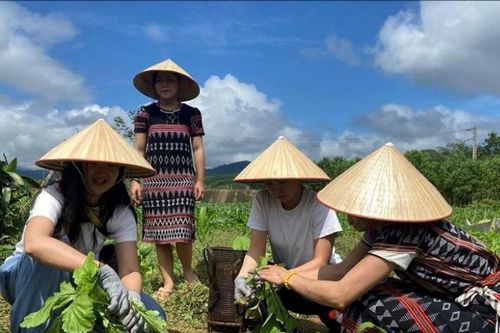 Khơi dậy nội lực kinh tế vùng cao
