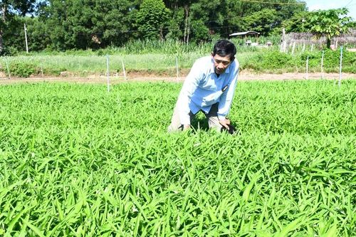 Thúc đẩy phát triển bảo hiểm nông nghiệp: Nguồn lực dự phòng sự cố thiên tai