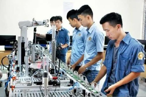Có kỹ năng nghề sẽ dễ tìm việc