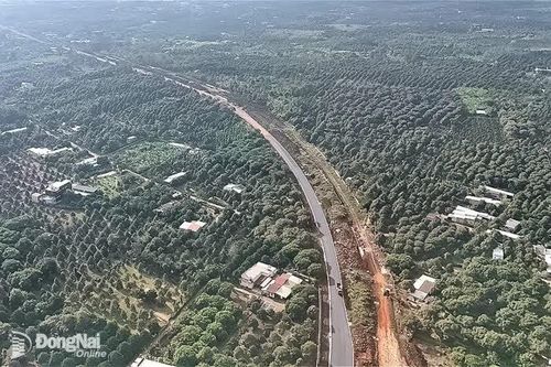 19 dự án tại thành phố Đồng Nai tổ chức thi công liên tục, cam kết bù tiến độ