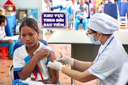 Học sinh mầm non và tiểu học được rà soát tiền sử tiêm chủng từ ngày 1-7