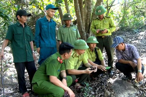 Thành lập 11 trạm bảo vệ rừng trực thuộc Ban quản lý rừng phòng hộ Gia Lai