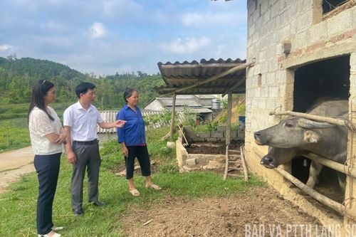 Phòng lở mồm long móng từ xa