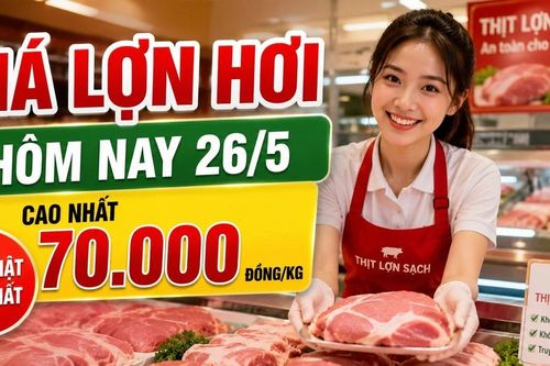 Cập nhật giá lợn hơi 26/5: Mốc 70.000 đồng/kg xuất hiện ở 2 địa phương