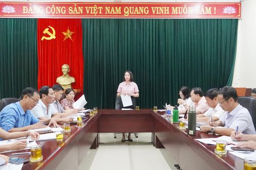 Giám sát việc quản lý hoạt động khai thác khoáng sản gắn với bảo vệ môi trường