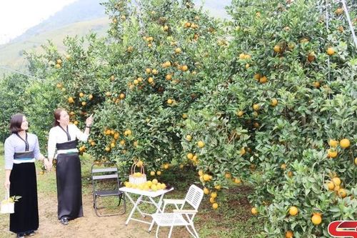 Đánh thức tiềm năng du lịch Mường Cơi