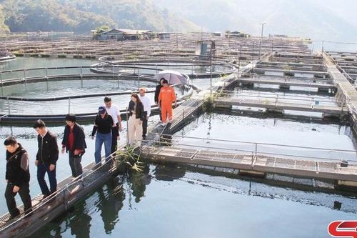 Sức bật trên vùng hồ