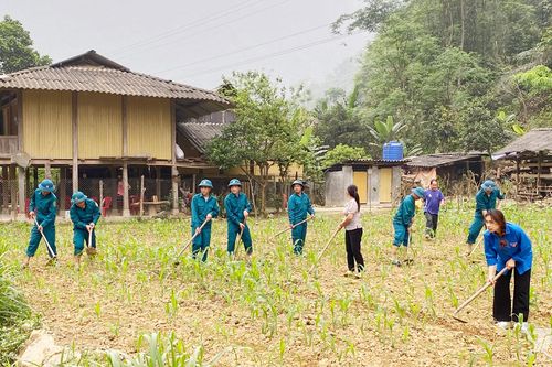 Dân vận khéo vun đắp 'thế trận lòng dân' vững chắc
