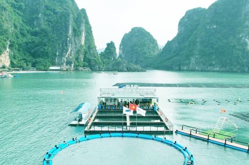 Nuôi biển công nghiệp thiếu nhân lực công nghệ cao