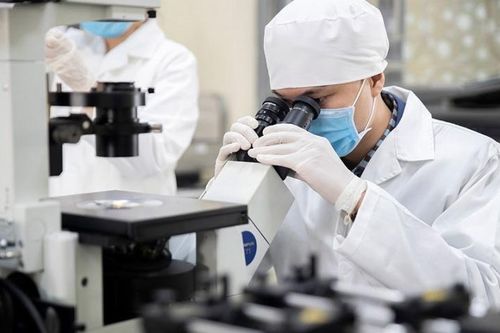 Nghiên cứu khoa học có thể bị cấm vô thời hạn nếu đạo văn, dữ liệu giả