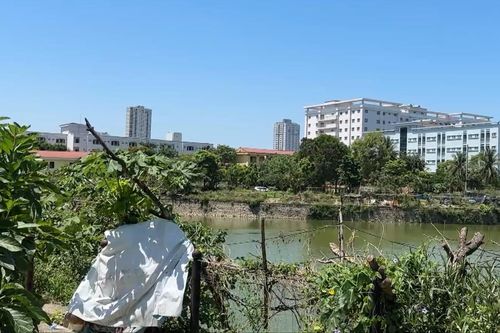 Hồ Vạn Phúc – Hà Đông bị bỏ hoang lãng phí