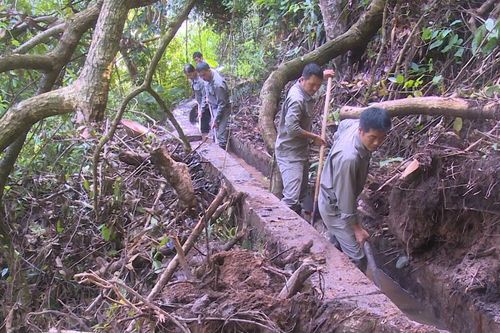 Giai đoạn 2026 - 2030, toàn tỉnh cần trên 3.000 tỷ đồng đầu tư về thủy lợi