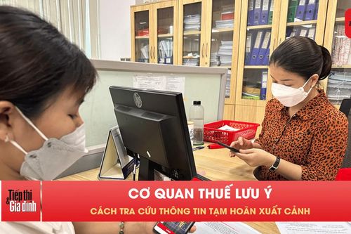 Nợ thuế bao nhiêu có thể bị tạm hoãn xuất cảnh?