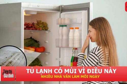 Sai lầm nhiều người mắc khiến tủ lạnh nhanh bốc mùi, thực phẩm dễ hỏng