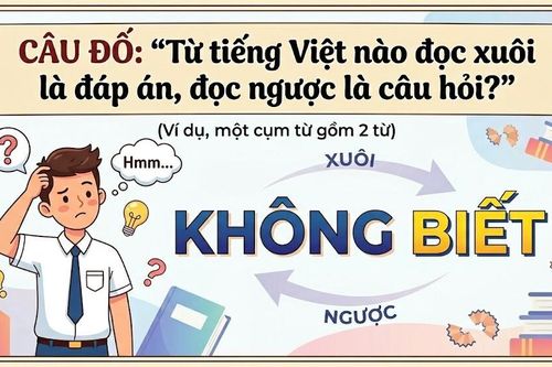 Từ tiếng Việt nào đọc xuôi là đáp án, đọc ngược là câu hỏi?