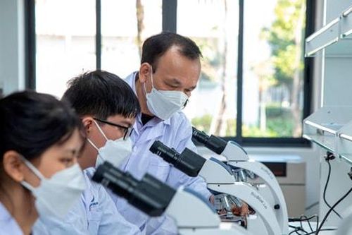 Việt Nam ban hành khung liêm chính khoa học: Siết đạo văn, ngụy tạo dữ liệu, lạm dụng AI