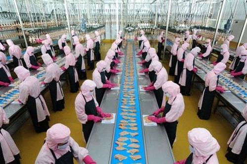 Hà Nội xây dựng mô hình giết mổ tập trung, siết chặt an toàn thực phẩm