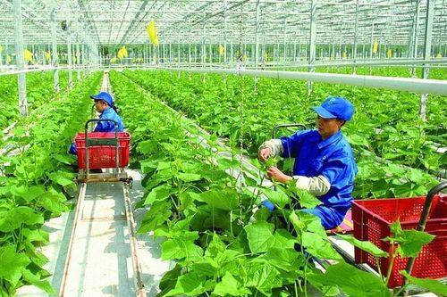 Mở rộng chính sách hỗ trợ doanh nghiệp nhỏ và vừa chuyển đổi từ hộ kinh doanh