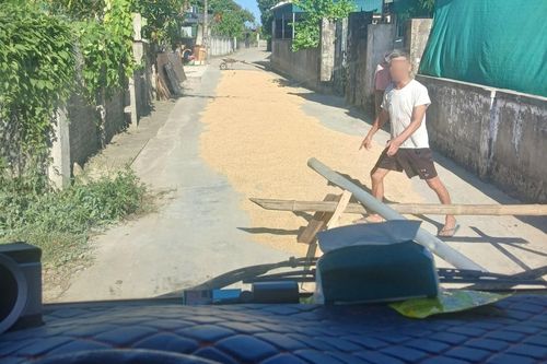 Người dân chặn đường phơi lúa, đập ôtô đi qua gây bức xúc