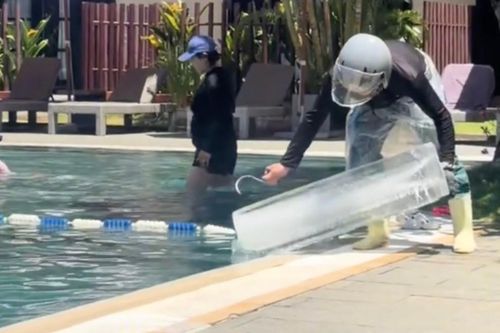 Khách sạn Hội An thả đá cây khổng lồ xuống hồ bơi cho khách gây sốt