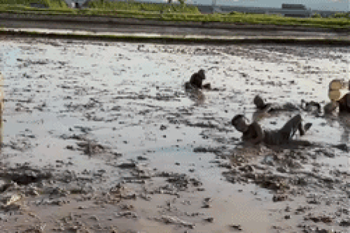 Lớp học gây sốt giúp 'khối nghỉ hè' hạn chế điện thoại