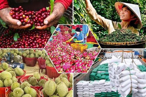 Tiêu chí đánh giá, phân hạng sản phẩm OCOP