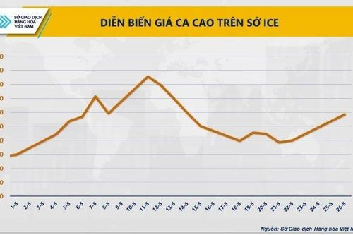 Lo ngại nguồn cung từ Tây Phi, thị trường ca-cao ghi nhận phiên tăng mạnh nhất trong nhiều tuần