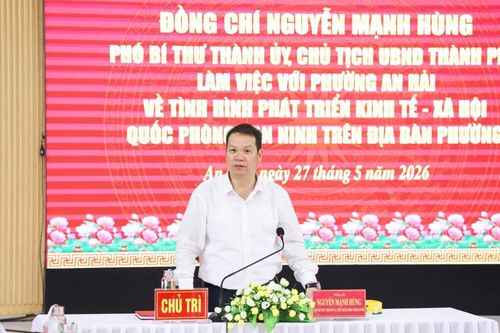 Nghiên cứu mô hình phố đêm chuyên về sâm Ngọc Linh và các sản phẩm OCOP tại trung tâm Đà Nẵng