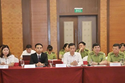 Sơn La hướng tới giảm thiểu tác động biến đổi khí hậu và bảo vệ, phát triển rừng
