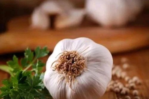 7 lưu ý cho người thường xuyên ăn tỏi