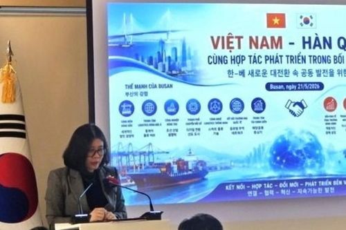 Tọa đàm 'Việt Nam-Hàn Quốc cùng hợp tác phát triển trong bối cảnh mới' tại Busan