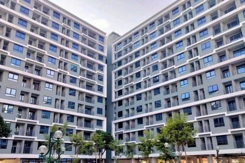 Đà Nẵng: Giá đất tăng vượt xa nhu cầu ở thực, cao nhất hơn 340 triệu đồng/m²