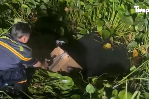 Công an lặn tìm két sắt dưới kênh, triệt phá băng trộm cắp ở TPHCM