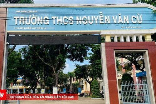Giao Công an tỉnh xác minh, làm rõ vụ học sinh lớp 8 dùng rìu đánh bạn