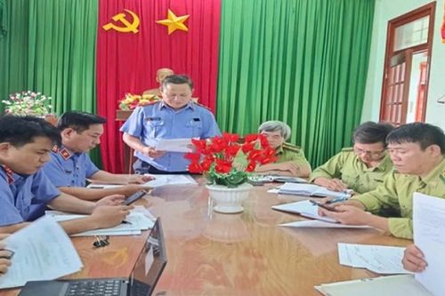 Kiểm sát việc giải quyết nguồn tin tội phạm tại Hạt kiểm lâm khu vực An Lão