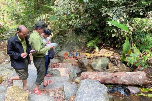 Dự án đường trăm tỉ đi qua, rừng phòng hộ 'ngã' xuống: Hạt Kiểm lâm vào cuộc, ghi nhận thực tế rừng bị tàn phá
