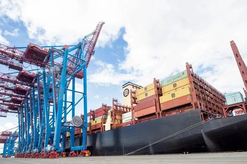 Đức tăng phụ thuộc vào Trung Quốc về nguồn cung hàng thiết yếu