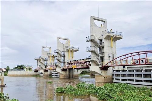 Đồng bằng sông Cửu Long trước áp lực nguồn nước và xâm nhập mặn