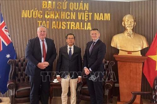 Nhà phân phối gạo lớn nhất Australia mở rộng đầu tư tại Việt Nam