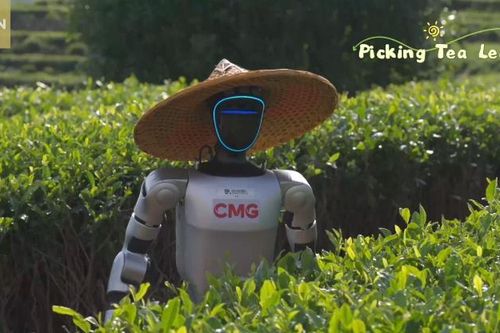 Choáng váng viễn cảnh robot đổ bộ đồi trà xanh, tranh việc với nông dân