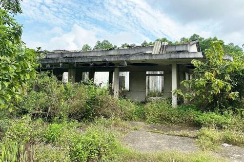 Vụ người đàn ông tử vong trong tình trạng lõa thể trên núi Thiên Bút: Hé lộ nguyên nhân ban đầu