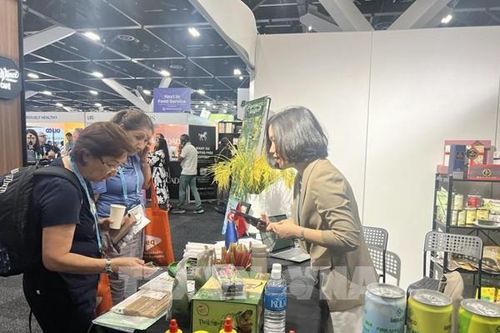 Hàng Việt Nam gây ấn tượng tại Hội chợ Foodservice Australia 2026