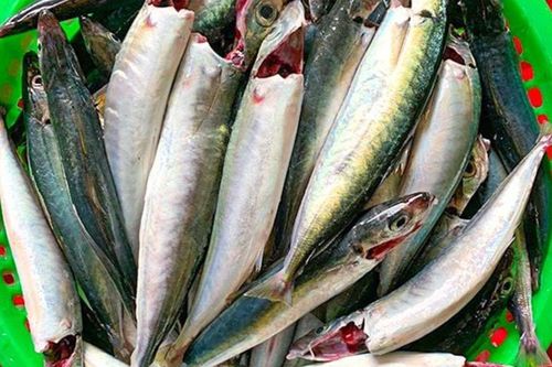 Loại cá được ví là 'kho bá cháy': Càng ăn càng cuốn, nhiều người mua vài ký mỗi lần